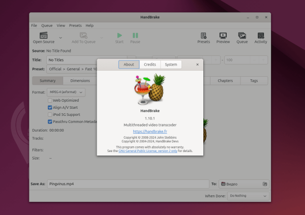 HandBrake 1.10. Конвертер медиафайлов. Новые пресеты Social 10MB